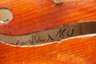 Violine im Etui