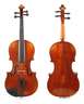 Violine im Etui