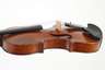 Violine im Etui