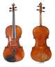 Violine im Etui