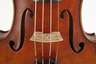 Violine im Etui