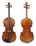 Violine im Etui