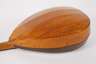 Laute und Mandoline