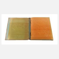 Braille Weltatlas111