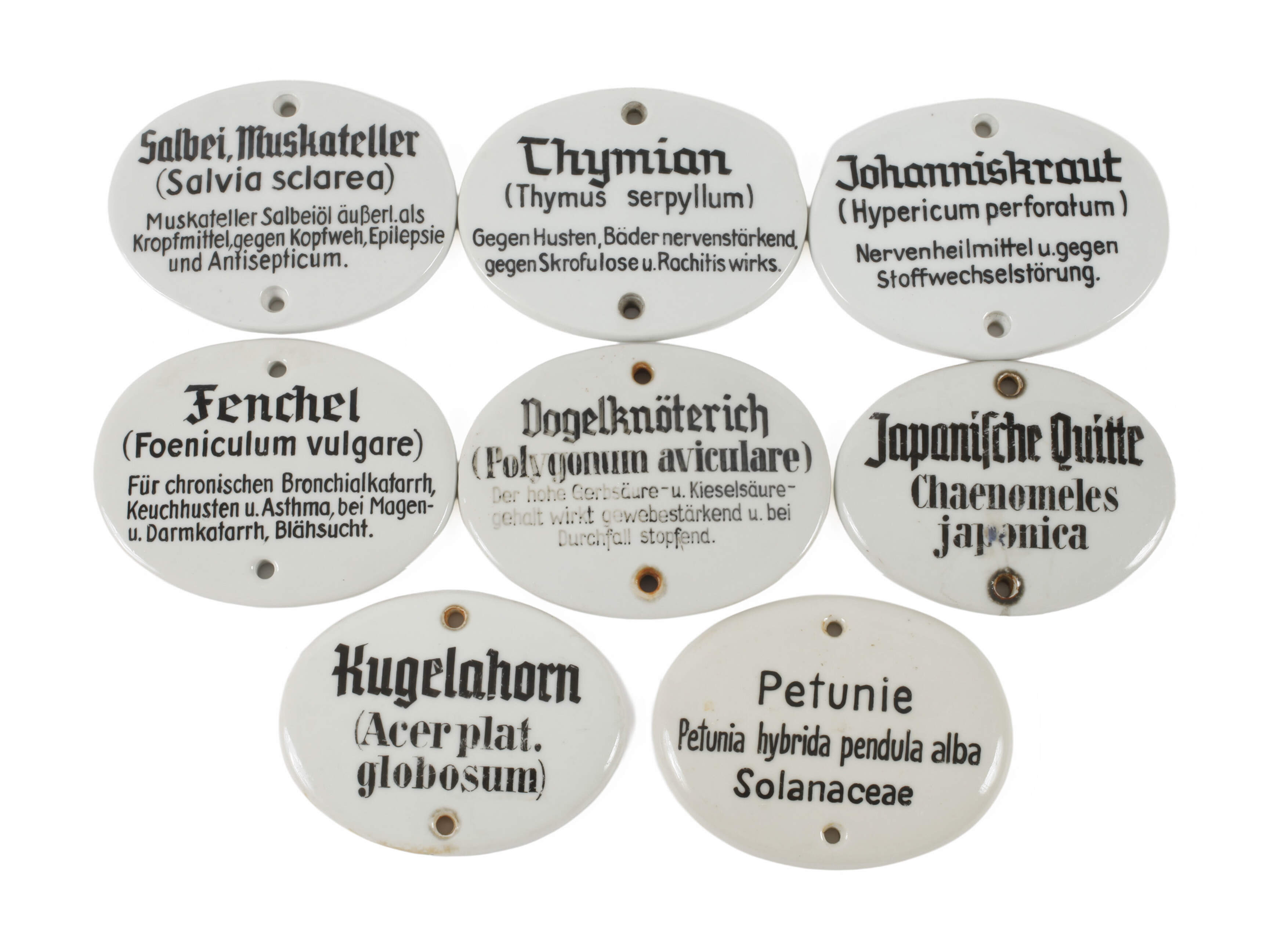 Konvolut Porzellanschilder