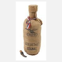 Flasche Cognac111