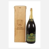 Magnumflasche Faccoli Franciacorta111