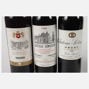 Fünf Flaschen Rotwein