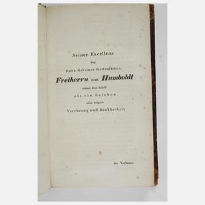 Jacob Steiner, Systematische Entwickelung