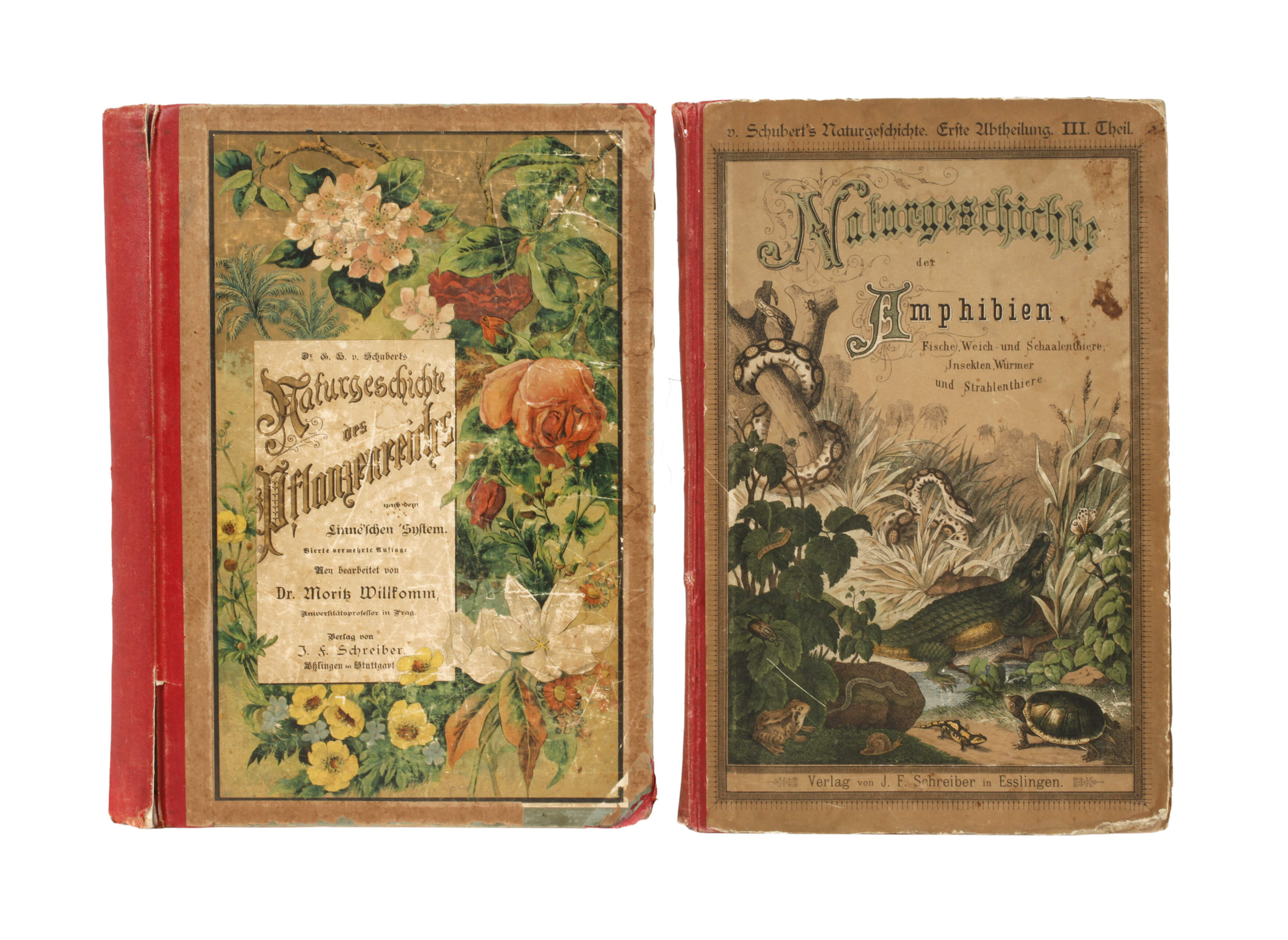 Zwei Bände Schuberts Naturgeschichte