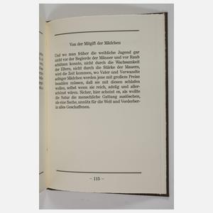 da Vinci, Reflexionen, Lehrsätze, Imaginationen