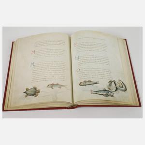 Das Tierbuch des Petrus Candidus