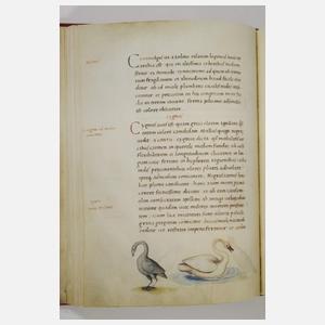 Das Tierbuch des Petrus Candidus