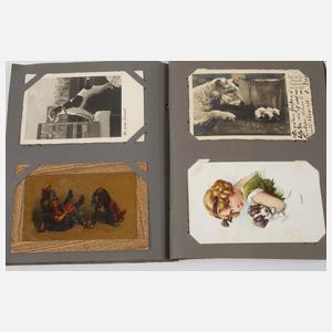 Postkartenalbum Hunde