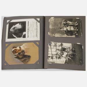 Postkartenalbum Hunde