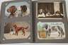 Postkartenalbum Hunde