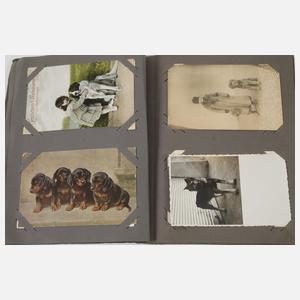 Postkartenalbum Hunde