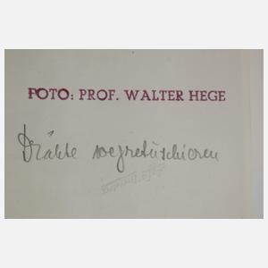 Walter Hege, Vintage-Abzug Akropolis