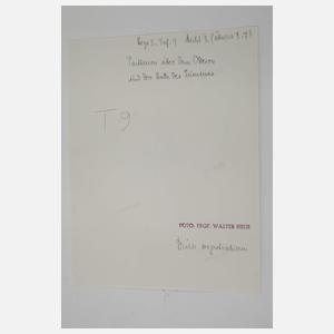 Walter Hege, Vintage-Abzug Akropolis