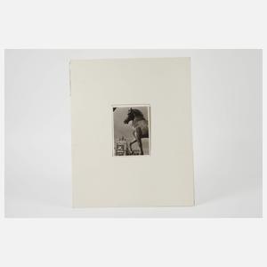 Walter Hege, Vintage-Abzug Venedig, San Marco