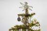 Großer Federbaum mit Christbaumschmuck