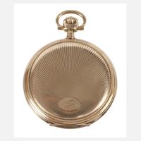 Goldsavonnette Zenith111