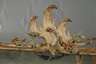 Wandspiegel Barock