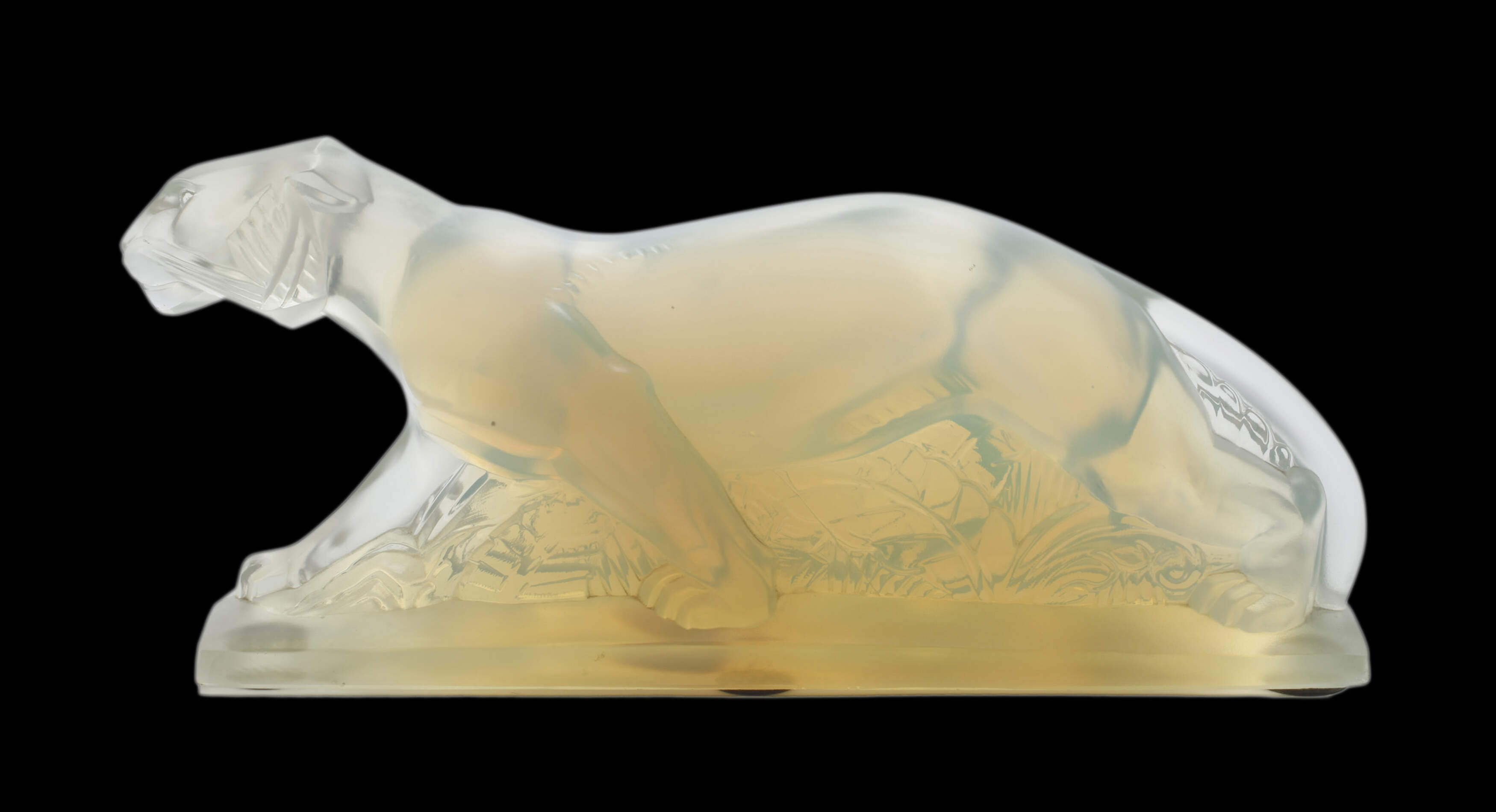 Cesari, schleichender Panther