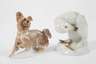 Rosenthal Konvolut kleine Tiere