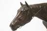 Wilhelm Zwick, Jockey