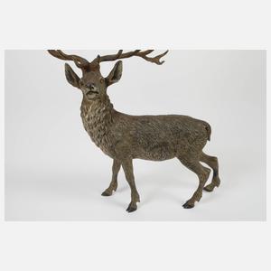 Große Wiener Bronze als imposanter Hirsch