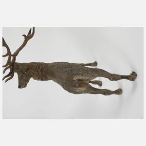 Große Wiener Bronze als imposanter Hirsch