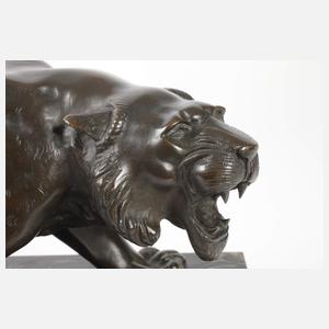 Brüllender Tiger