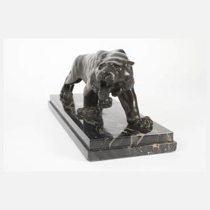 Brüllender Tiger