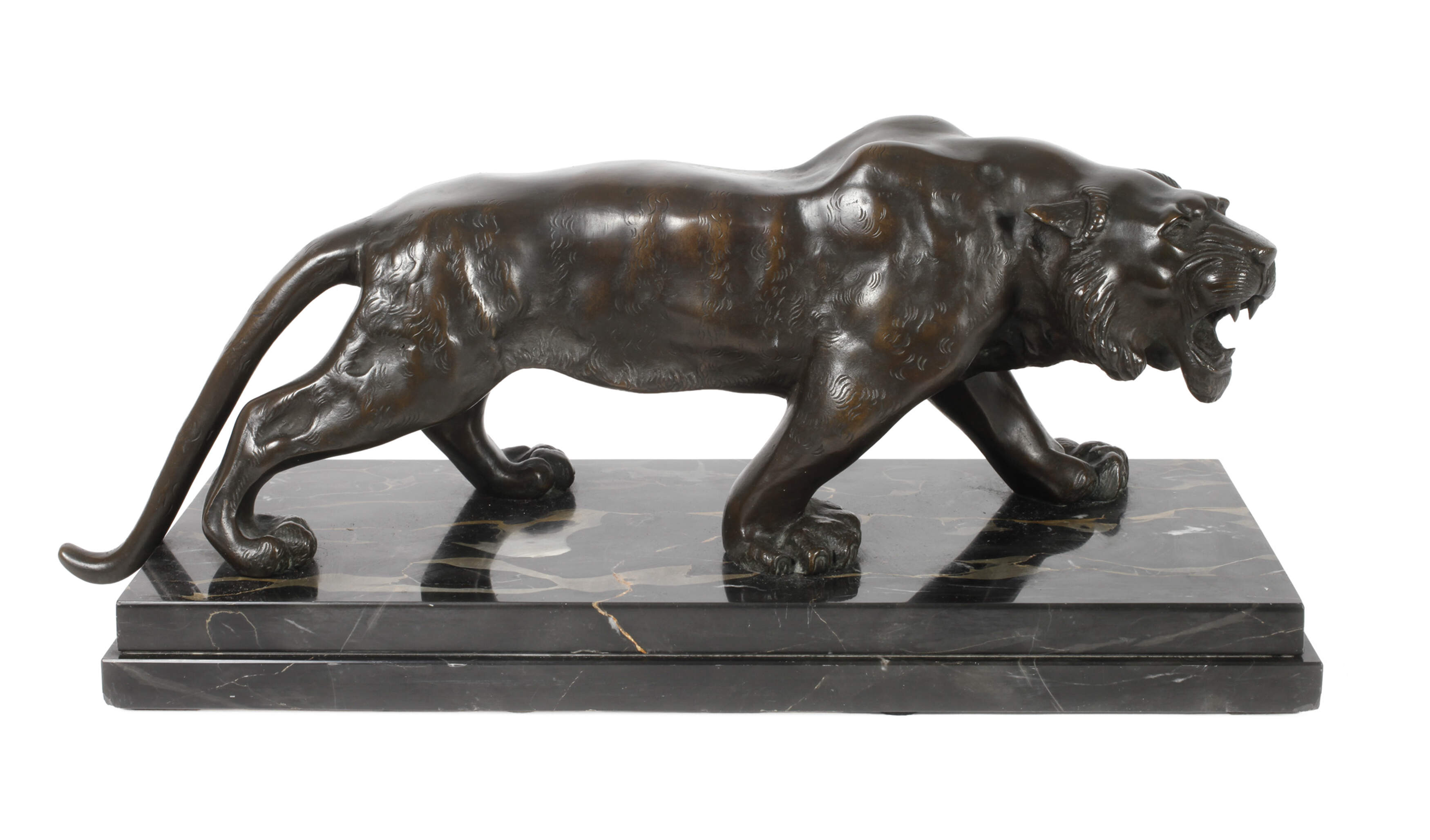 Brüllender Tiger