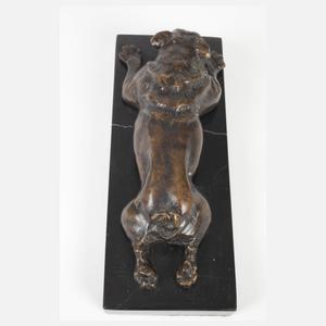 Liegende Bulldogge