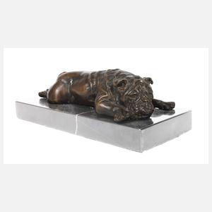 Liegende Bulldogge