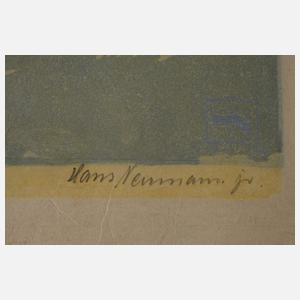 Hans Neumann, Fliegende Krähe