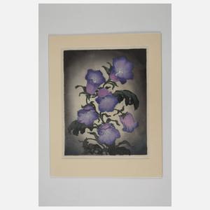 Sophie Noske, attr., Glockenblume