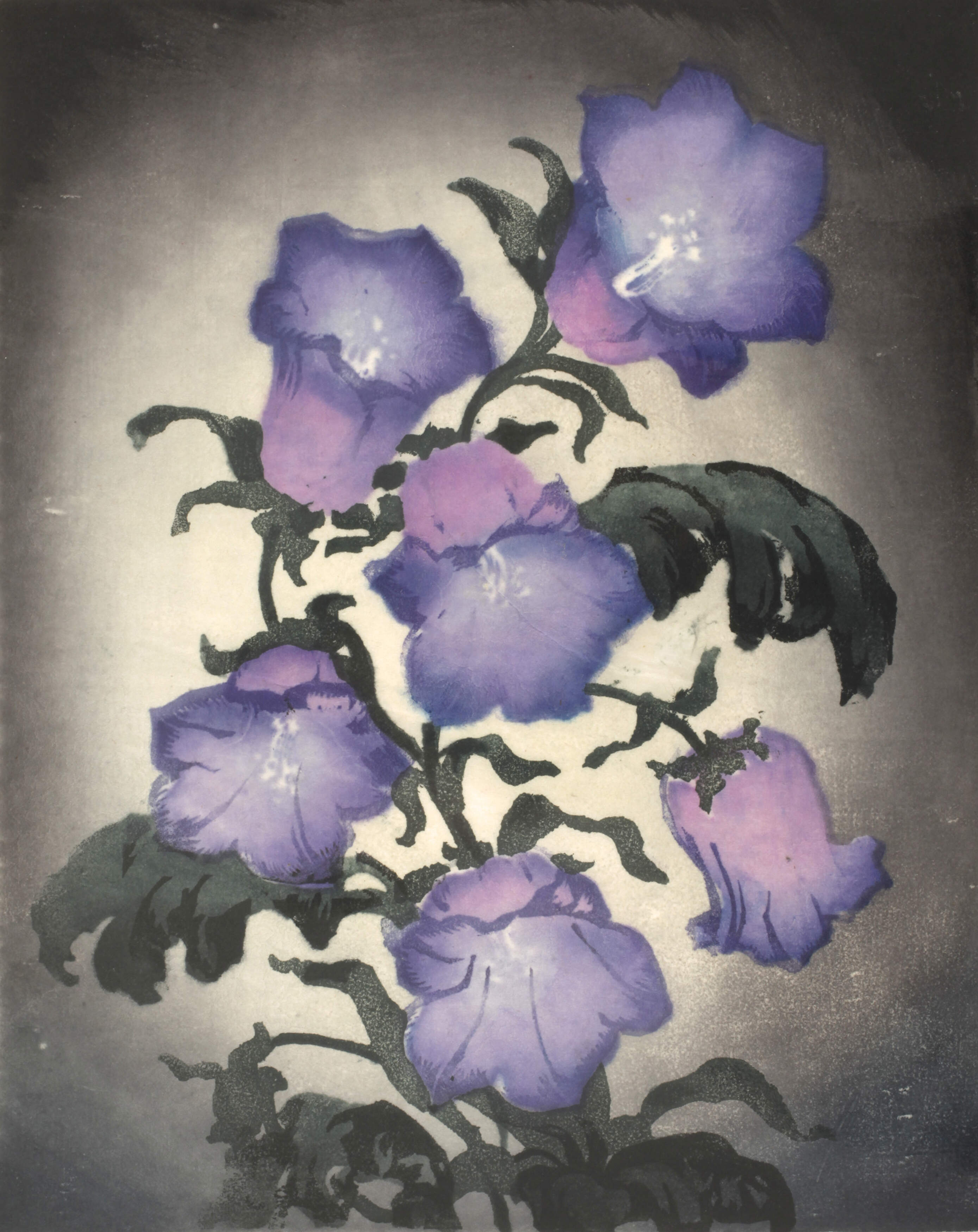 Sophie Noske, attr., Glockenblume