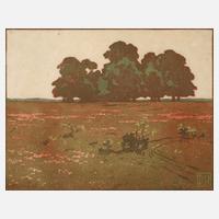 Daniel Staschus, Baumgruppe im Abendlicht111