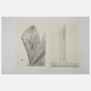 Max Ernst, Mappenwerk "histoire naturelle"