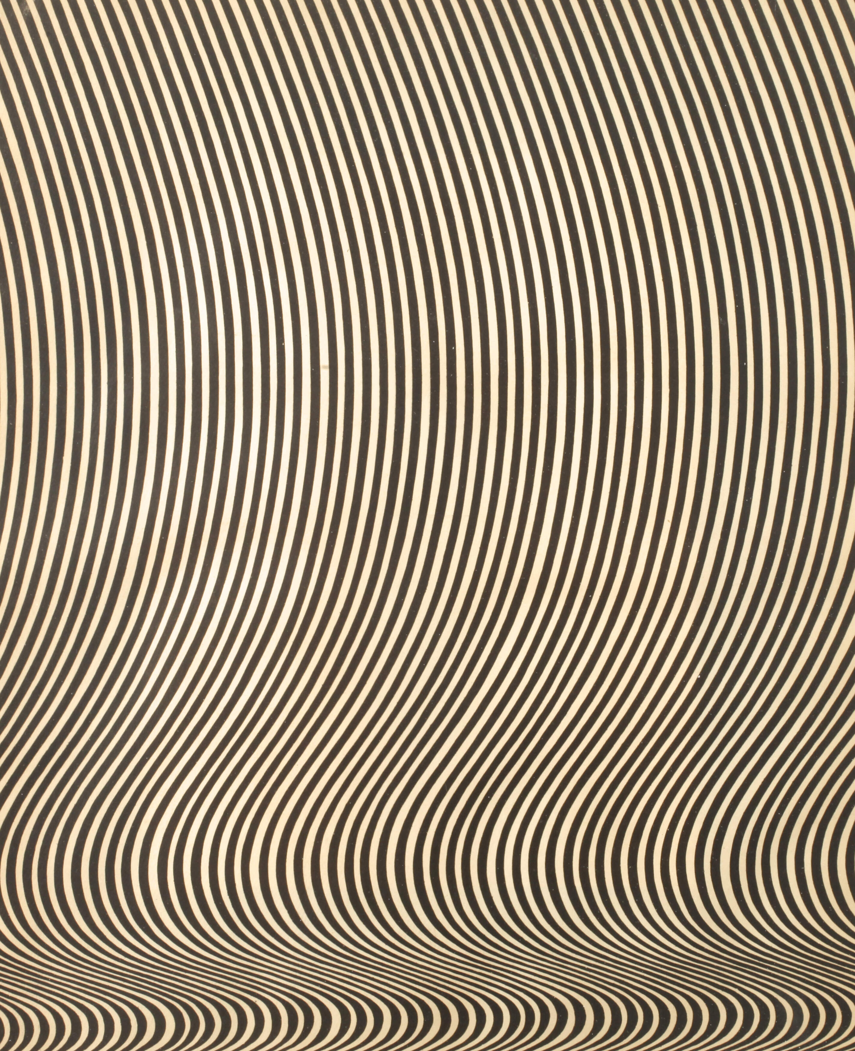 Bridget Riley, Komposition