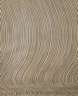 Bridget Riley, Komposition