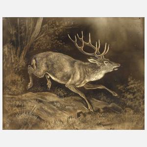H. Fritz, Hirsch auf der Flucht