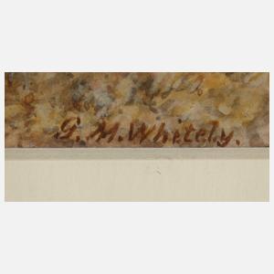 G. M. Whitely, Blühender Weiß- und Rotdorn