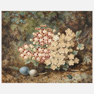 G. M. Whitely, Blühender Weiß- und Rotdorn