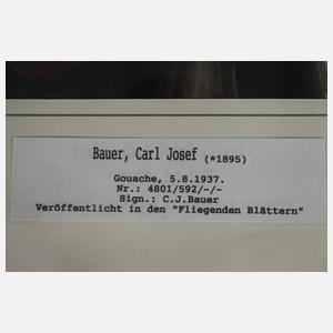 Carl Josef Bauer, "Entrüstung"