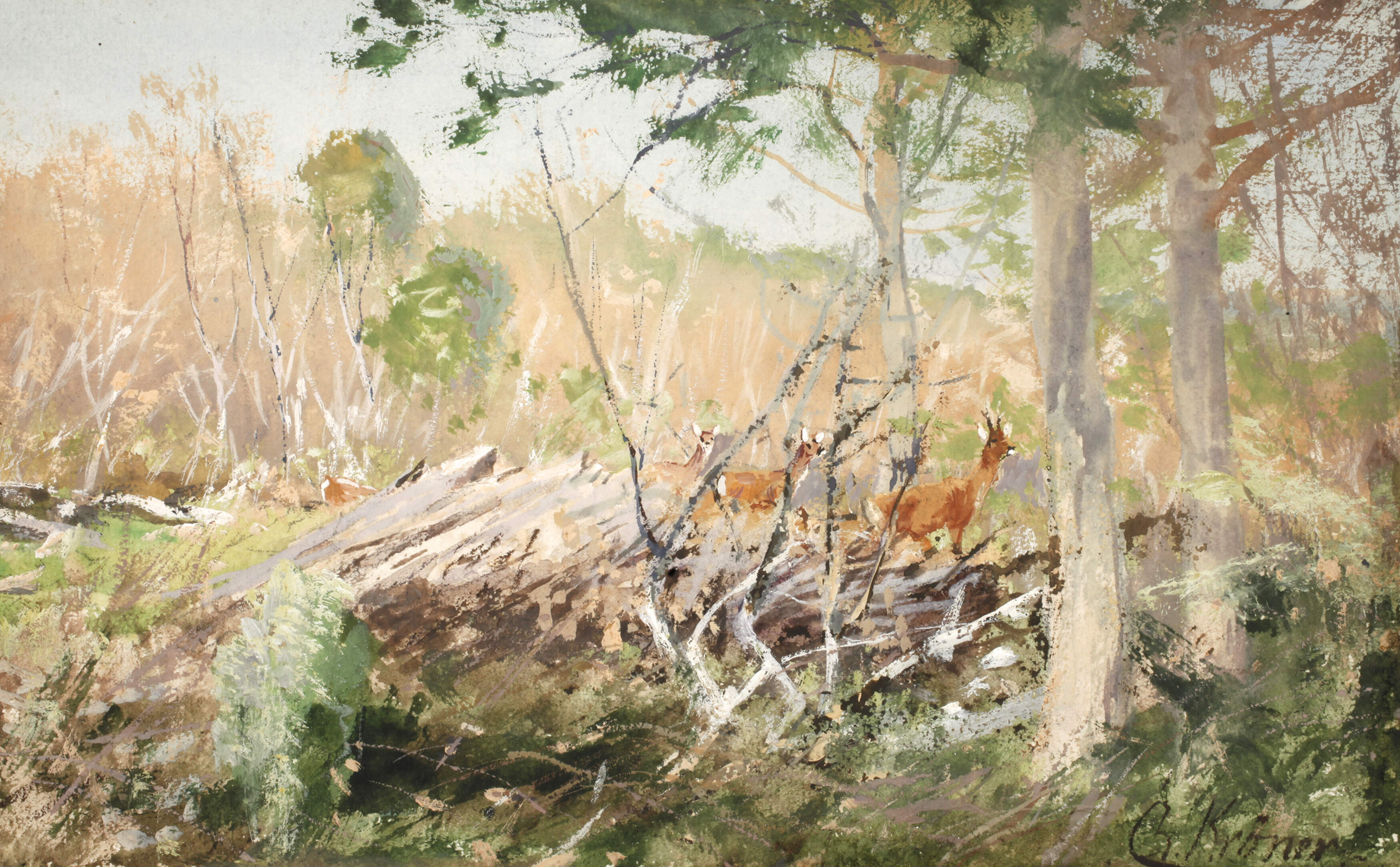 Prof. Christian Kröner, Rehe am Waldrand