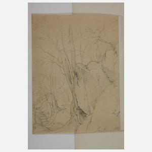 Franz Albert Venus, attr., Drei Skizzen
